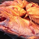 으뜸펜션 이미지