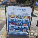 골드오션 | 홍천 오션월드 골드시즌Ⅰ후기 : 초4 아이랑 실전 동선 가이드