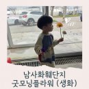 굿모닝플라워 - 동해시 천곡로 38 | [용인/동탄] 남사화훼단지 생화 파는 곳! 4세 아이와 함께 가기 좋은 '굿모닝플라워' n번째 방문 후기