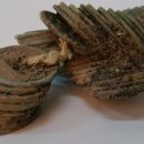 돈꾸러미 이미지