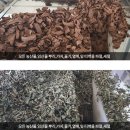 티백 OEM, 분말스틱OEM - 맑을청웰빙 주식회사, 특허와 글로벌 시장에서 빛나다