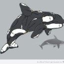 돌고래와펭귄 이미지