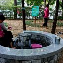 과천시 중앙공원 이미지