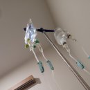 중랑365의원 이미지