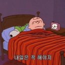 이문23 | 영어회화, 올해는 미루지 않기! 이문영어회화 후기