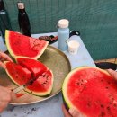그린테니스아카데미 네이버블로그
