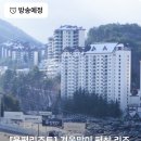 찬스라이브