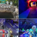 동굴 낙지와 쭈꾸미 이미지