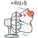 송준호레이메디의원 이미지