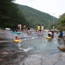 도림사계곡 이미지