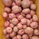 서홍농장 이미지