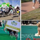 다채로운 삶(퍼스널컬러) 이미지