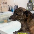 유주메디칼 이미지