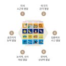[초3~6] 수학 놀이가 되다 | 아기 장난감 추천 i100 자석블럭 소근육 발달 놀이 후기