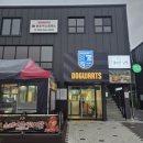 도그와트 이미지