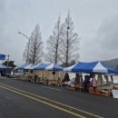 진도읍 조금시장 이미지