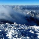 강변살자 이미지