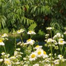 금봉농장 이미지