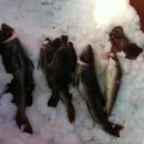 해병목장 이미지