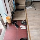 화육반점