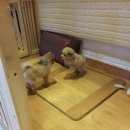 동행호텔 이미지