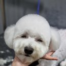 살롱3039 이미지