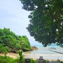 파미르팜 이미지