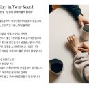 고요한 밤 꿀잠을 원한다면 잠뿌를🌙✨ &#39;벨라누이 헬로우 나이트&#39; 시향 후기