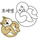 용수네정육
