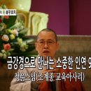 불광사 법문 9차 - 금강경에서 제시하는 “불교의 바른 믿음” 이미지