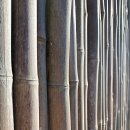 인성지도자 이미지