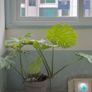 입사했는데요 퇴사했습니다