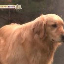 용서농장 이미지