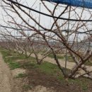 종가집 남도가든 이미지