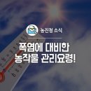 백화원 이미지