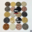 디오인터내셔널 이미지