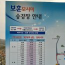 2024.10.28 현충원 9회차(보훈전망대~보훈정~현충탑~나눔의집~민원안내실 6.99km 1h53m).. 이미지