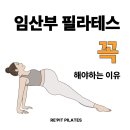 소도구를 이용한 필라테스(야간) A | 사직동 필라테스 레핏 | 임산부 필라테스 이제 선택 아닌 필수!