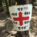 도명 이미지