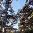 태안목장 | 태안 아기랑 가볼만한곳 일송꽃게장백반, 태안해안목장, 안면도수목원