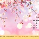 제이동물병원 이미지
