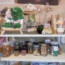 곰재웅치마을 이미지