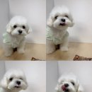 딜라잇츄 - 수성구 들안로14길 21 | 딜라잇츄