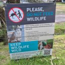 주식회사 웨이 | [오스트레일리아🇦🇺] 멜버른 여행 - 캥거루 고기와 그레이트 오션로드(12사도)