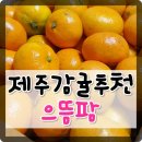 으뜸팜 이미지