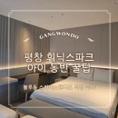스카이약국 | [아이와 평창여행] 휘닉스파크 평창 블루동 스카이스탠다드 객실 숙박 후기