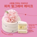파리바게뜨국화