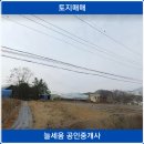 늘세움공인중개사사무소 이미지