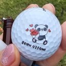 수복골프연습장 | 벨라스톤CC 가을라운딩 모든것이 좋았던날