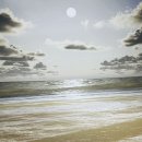 용산-이촌-204 이미지